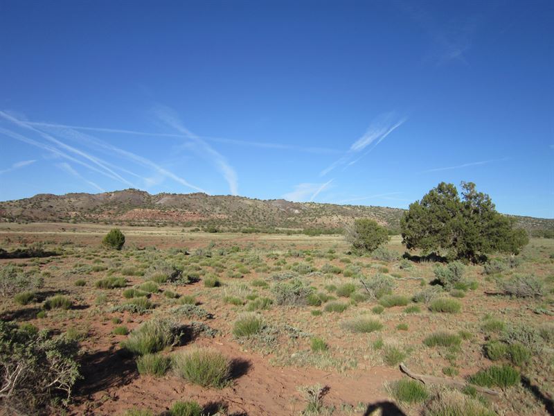 OffGrid Living in Northeastern AZ, Farm for Sale by Owner in Arizona