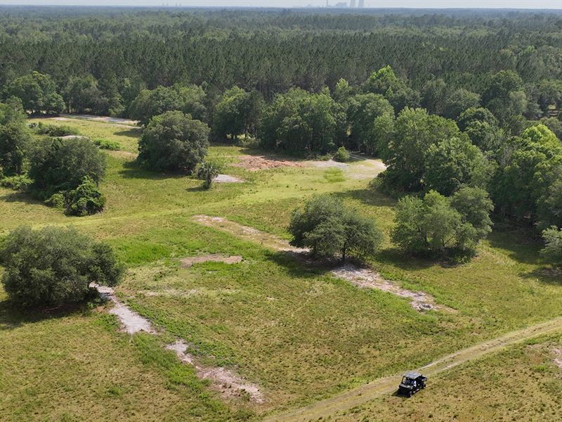 Ross Hammock Ranch : Inglis : Levy County : Florida