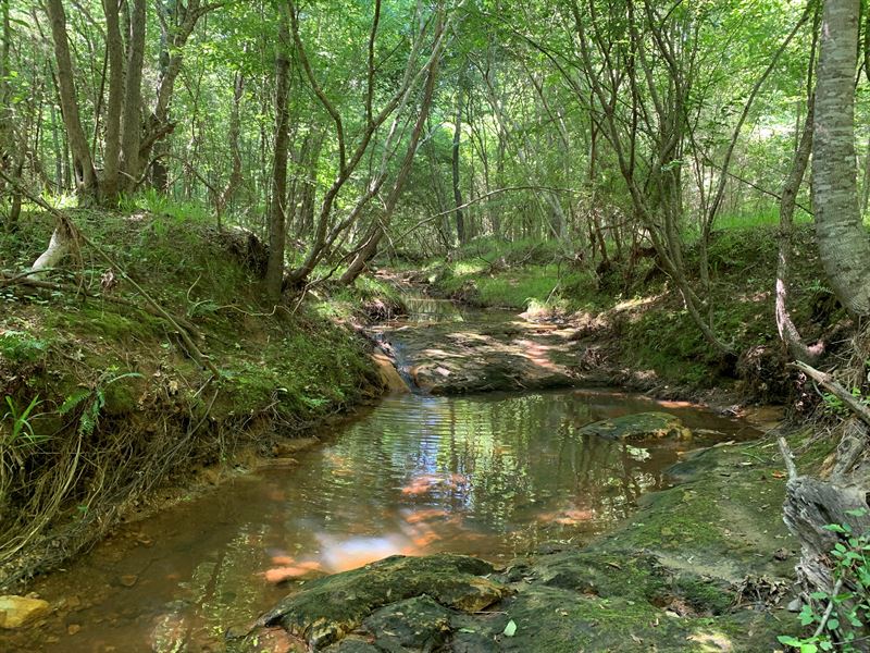 Lloyd Creek : Lincolnton : Lincoln County : Georgia