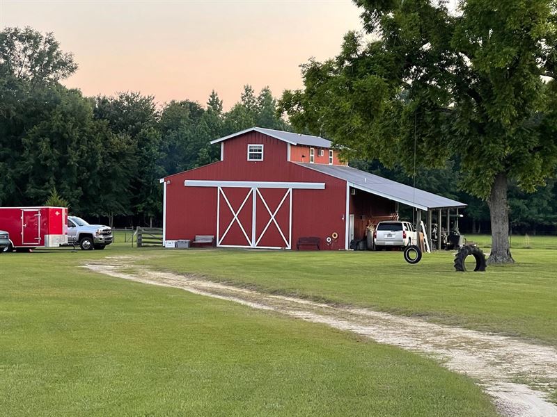 Shady Lane Farm : Midville : Burke County : Georgia
