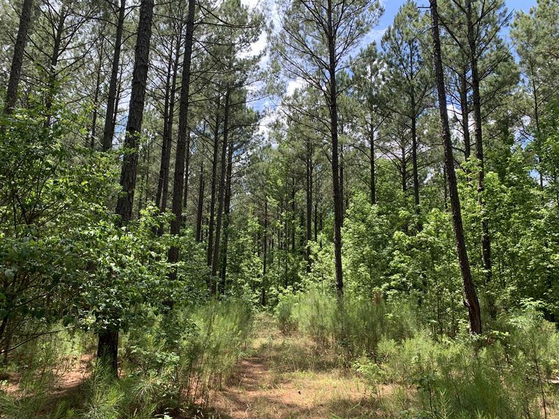 Duckpond Plantation : Lexington : Oglethorpe County : Georgia