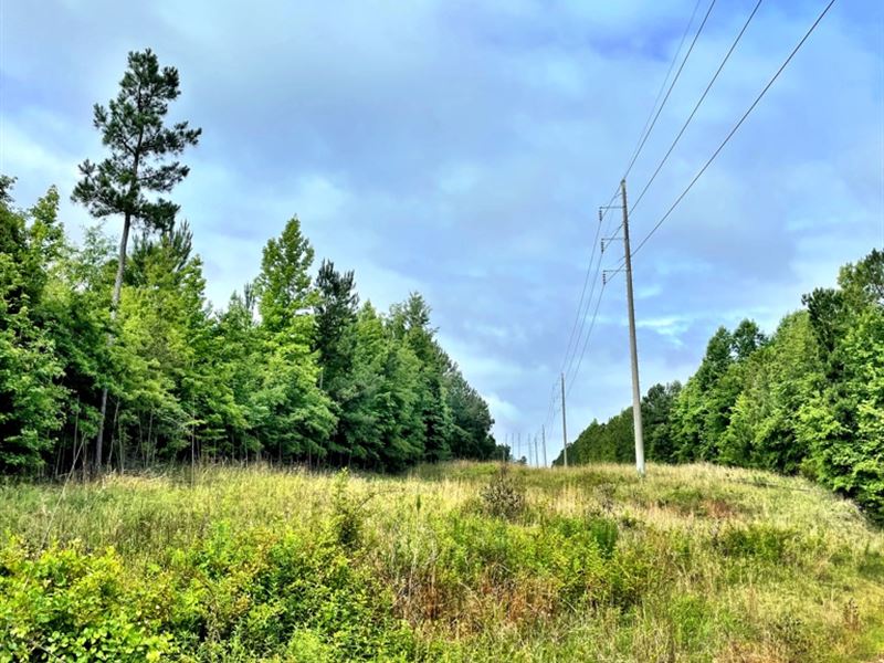 Affordable Residential / Recreation : Dry Branch : Twiggs County : Georgia