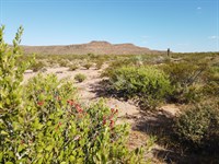 20 Acre Ranch in West TX : Sierra Blanca : Hudspeth County : Texas