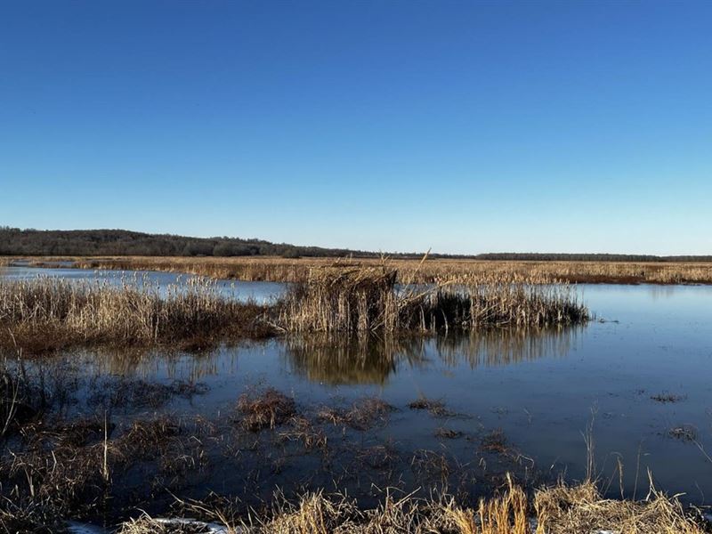 1,400 Duck Hunting Property on : Forrest City : Lee County : Arkansas