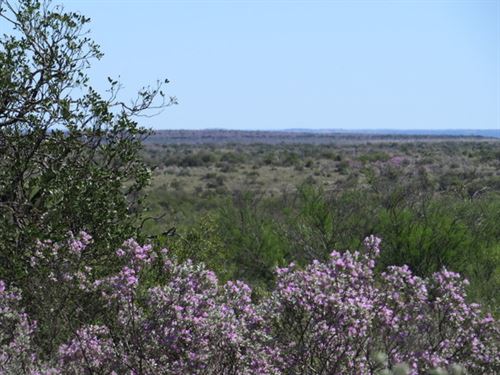 Seminole Springs Lot 23 : Comstock : Val Verde County : Texas