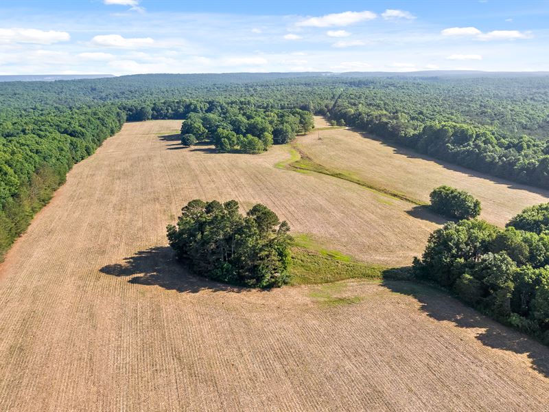 North Georgia Recreational Retreat : Menlo : Dade County : Georgia