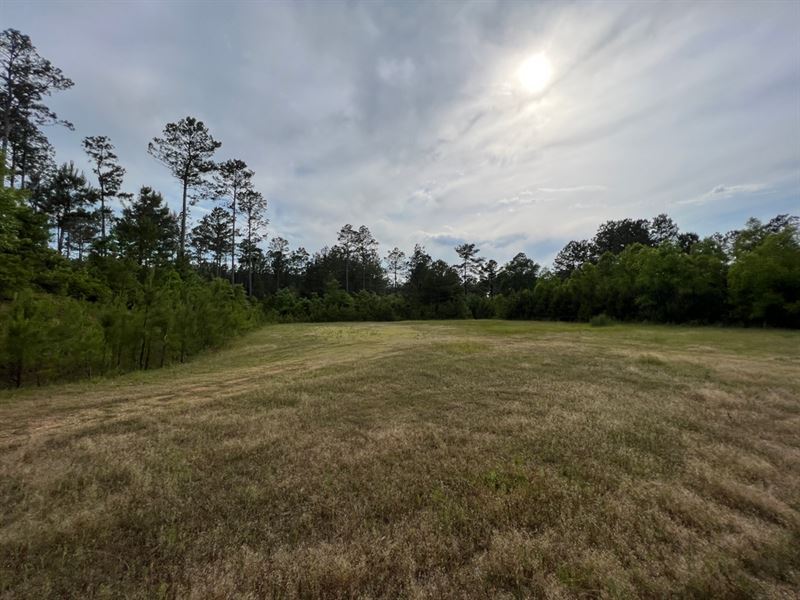 Ar, Columbia 120 Acres : Atlanta : Columbia County : Arkansas
