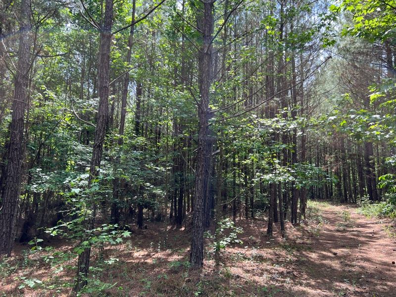 Ar, Union 98 Acres : Strong : Union County : Arkansas