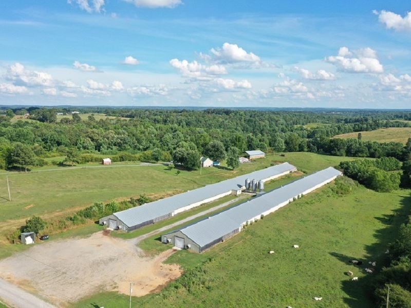 Dirt Poor Farm : Holly Pond : Cullman County : Alabama