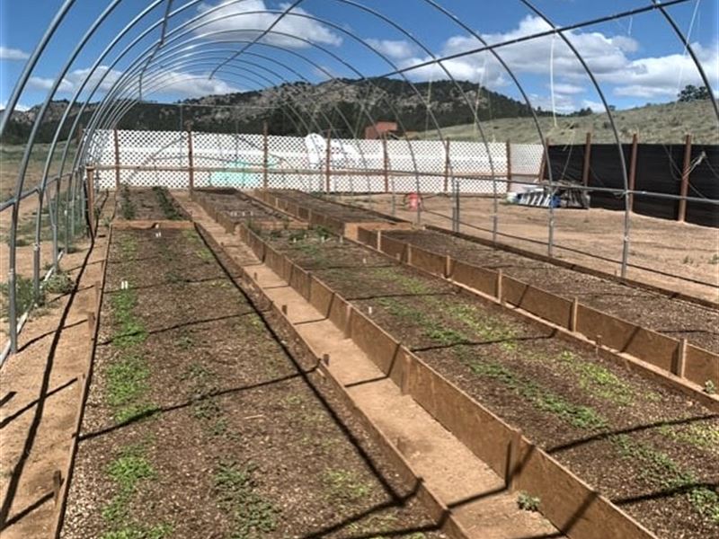 Agricultural / Rural / Residential : Cotopaxi : Fremont County : Colorado