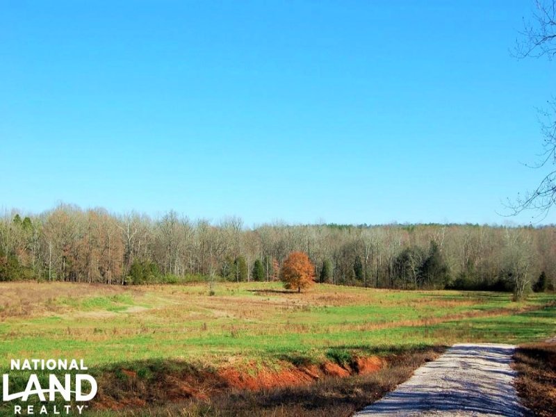 Bullock Creek Agricultural Homesite, Farm for Sale in South Carolina