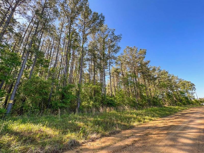 Hunting/Recreational Land for Sale, Farm for Sale in Louisiana, 324101