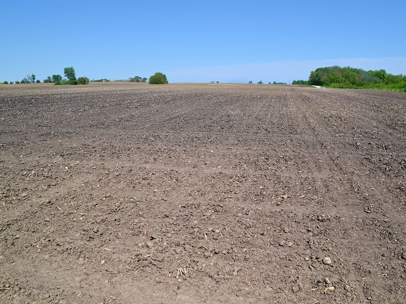 Land Auction in Newton County, In, Farm Auction in Indiana, 324124