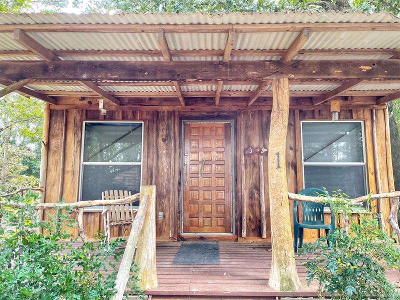 Meadow Creek Preserve : Ideal : Macon County : Georgia