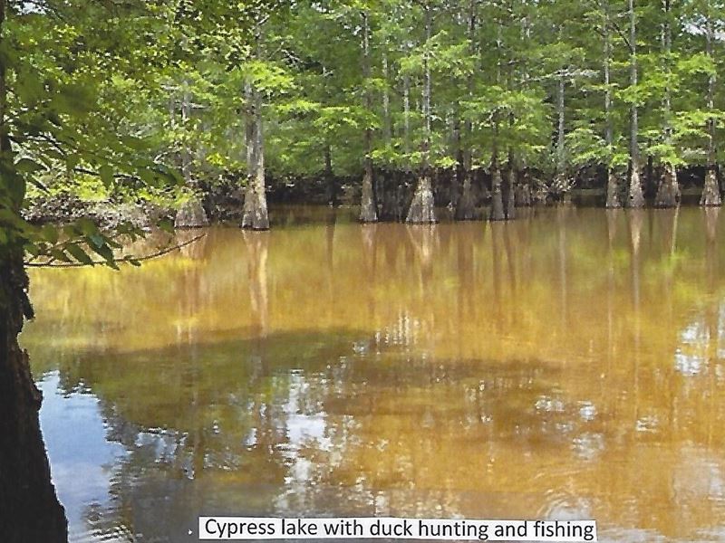 123 Acres, Hardeman County, TN : Bolivar : Hardeman County : Tennessee