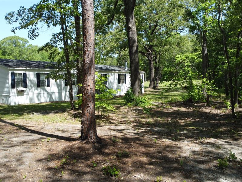 Home in Low Country Burke County GA, Farm for Sale in 324190