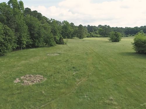 Sonrisa 38 : Montgomery : Texas