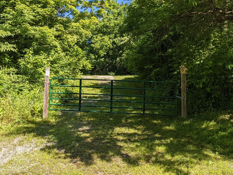 Gallia County Hunting Land for Sale, Farm for Sale in Ohio, 324393