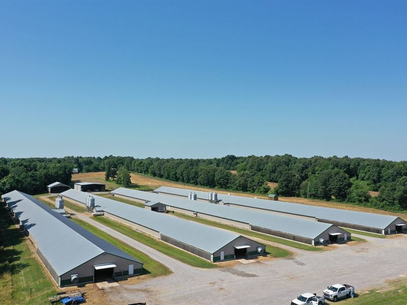 New Price, Triple Cross Farm : Mayfield : Graves County : Kentucky