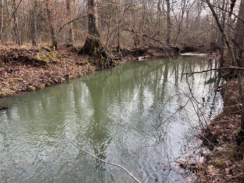 199 Acres Hunting Property : Leslie : Searcy County : Arkansas