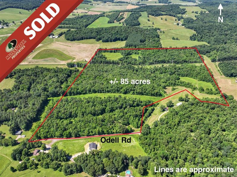Odell Rd, 85 Acres, Muskingum Cou : Frazeysburg : Muskingum County : Ohio