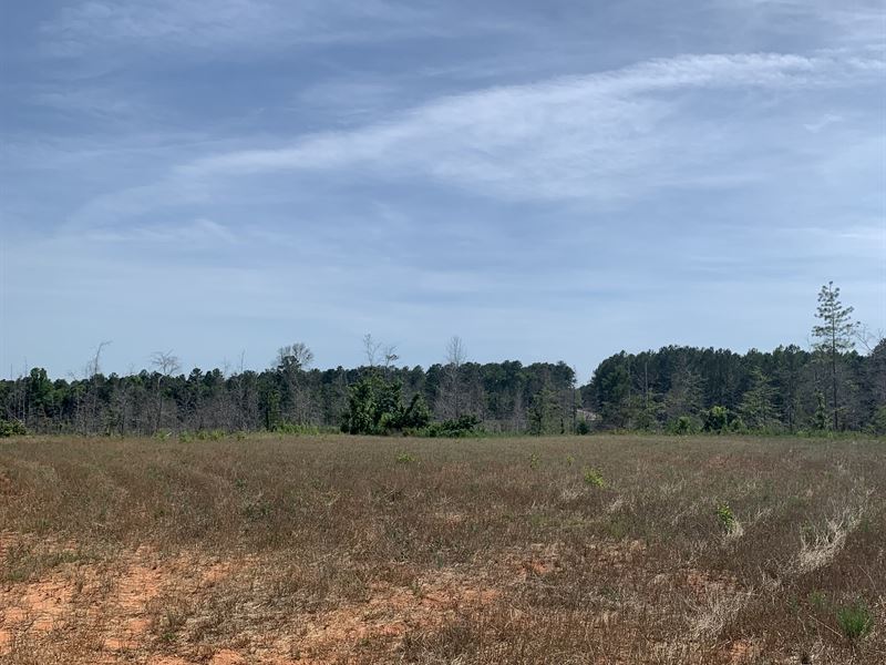 Piney Grove Tract, Farm for Sale in 324612 FARMFLIP