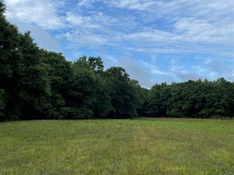 Greenbrier Lake Farm : Watkinsville : Oconee County : Georgia