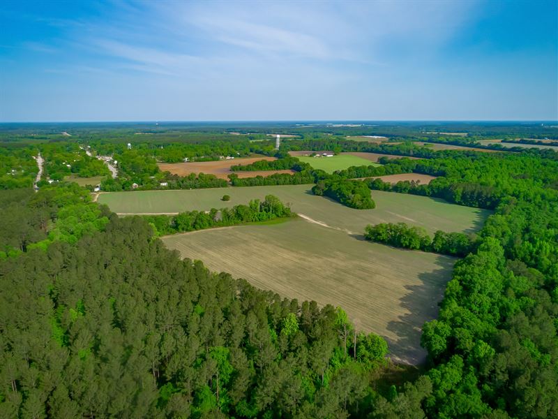 Sustainability & Wildlife in Olar : Olar : Bamberg County : South Carolina