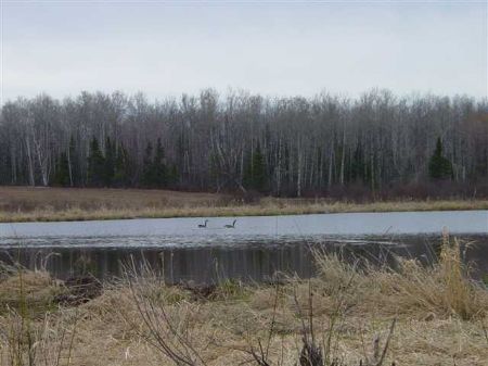 Tbd Applekamp Rd Mls 1050657 : Bergland : Ontonagon County : Michigan