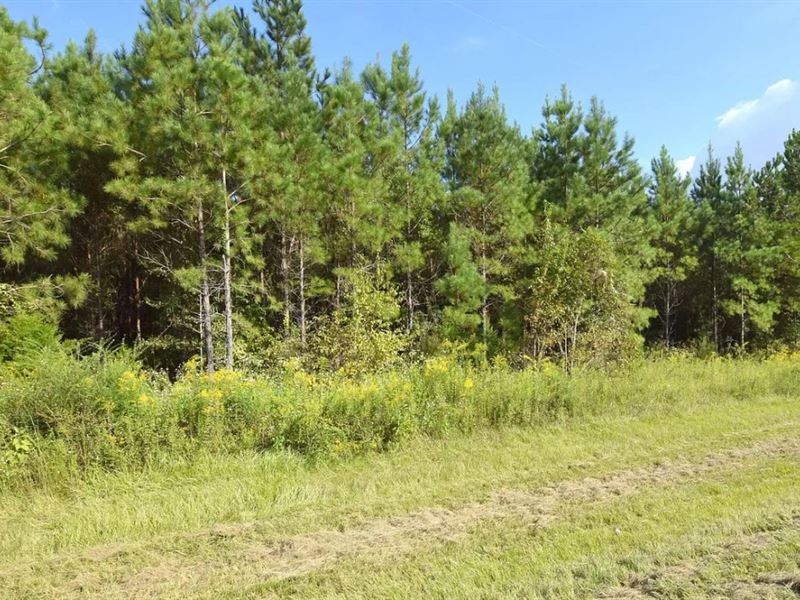 10 Acres of Land in Chipley, FL, Farm for Sale by Owner in Florida