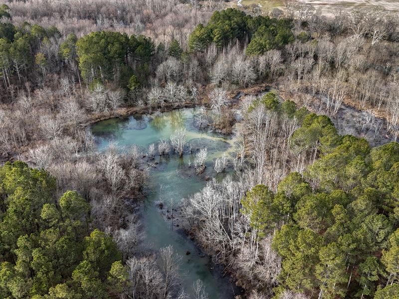 Taliaferro Springs : Lyerly : Chattooga County : Georgia