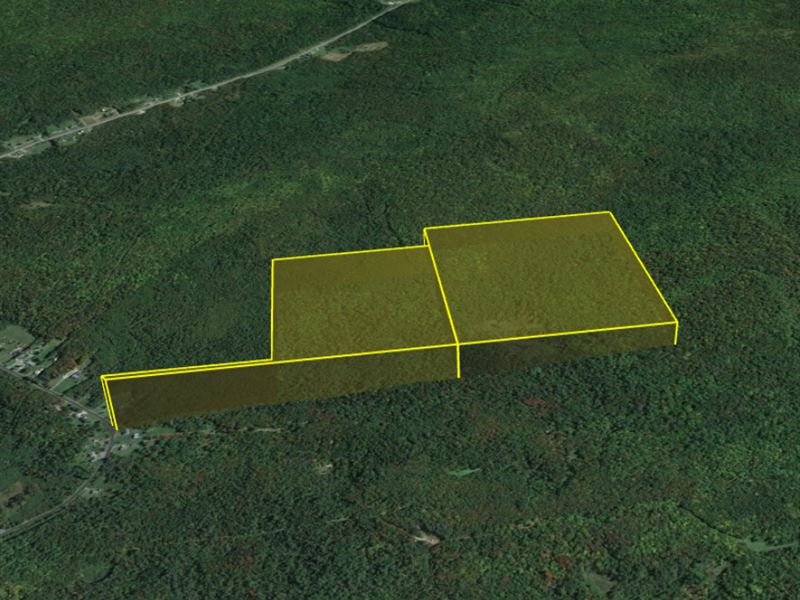 2 Large Lots Near Lake Chazy, NY, Farm for Sale by Owner in New York