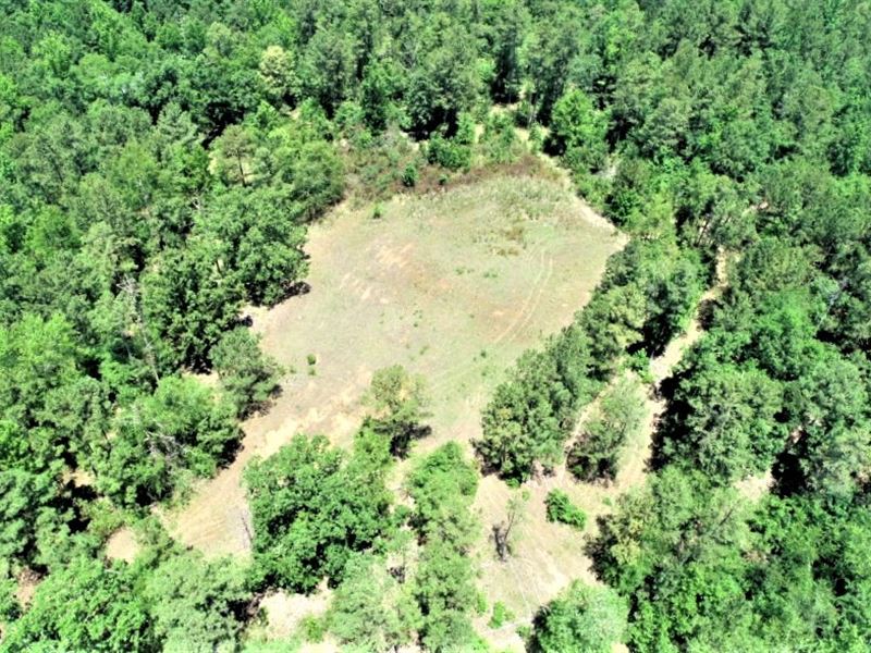 Excellent Hunting / Recreation : Sparta : Hancock County : Georgia