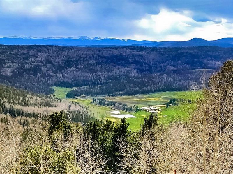 Alta Luna Ranch : Chacon : Mora County : New Mexico