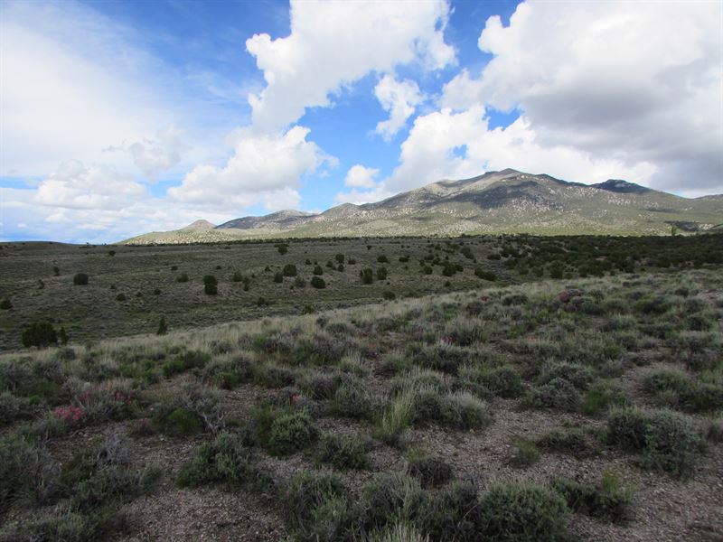 10 Acres of Nv, Time to Go Camping : Montello : Elko County : Nevada