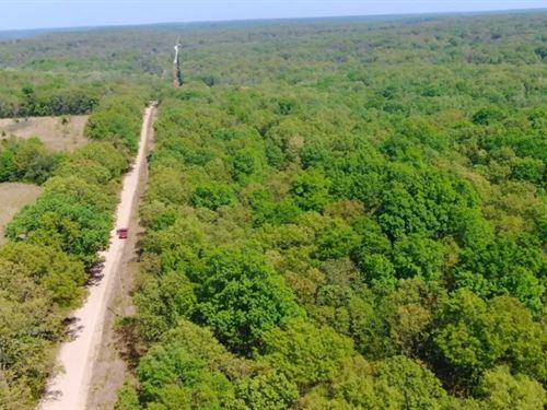 Owner Financed 10 Acres : Macks Creek : Camden County : Missouri