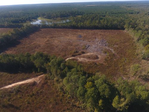 Timber Investment : Toomsboro : Wilkinson County : Georgia