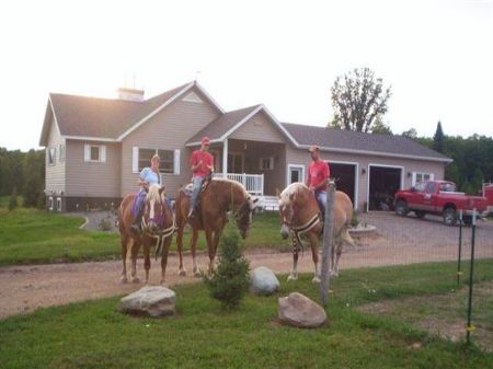 332 Kalla Walla Tr Mls 1050169 : Crystal Falls : Iron County : Michigan