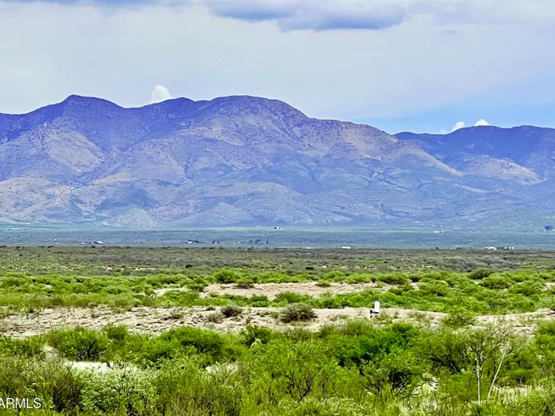 40 Ac, Mtn Views in Desired Area : Hereford : Cochise County : Arizona