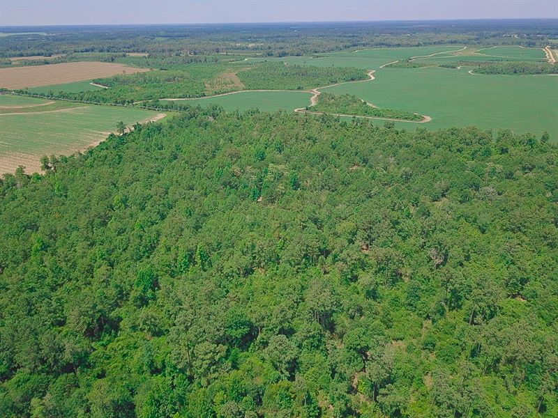 41 Acres in Worth County, GA, Farm Auction in 326425 FARMFLIP