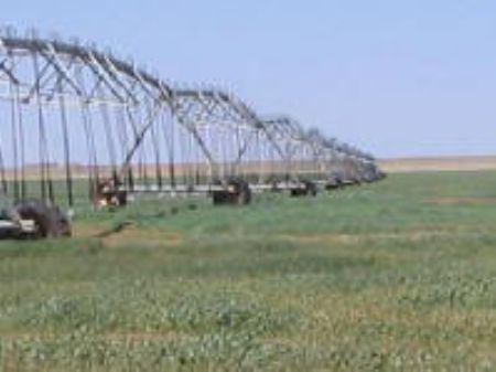 Irrigated Crop Land : Dalhart : Dallam County : Texas