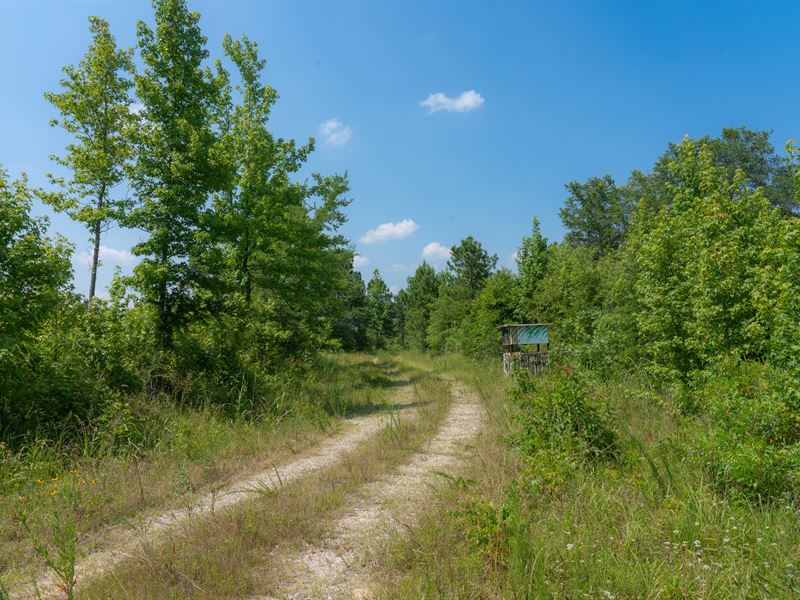 McCurtain County 160, Farm for Sale in Oklahoma, 326507 FARMFLIP