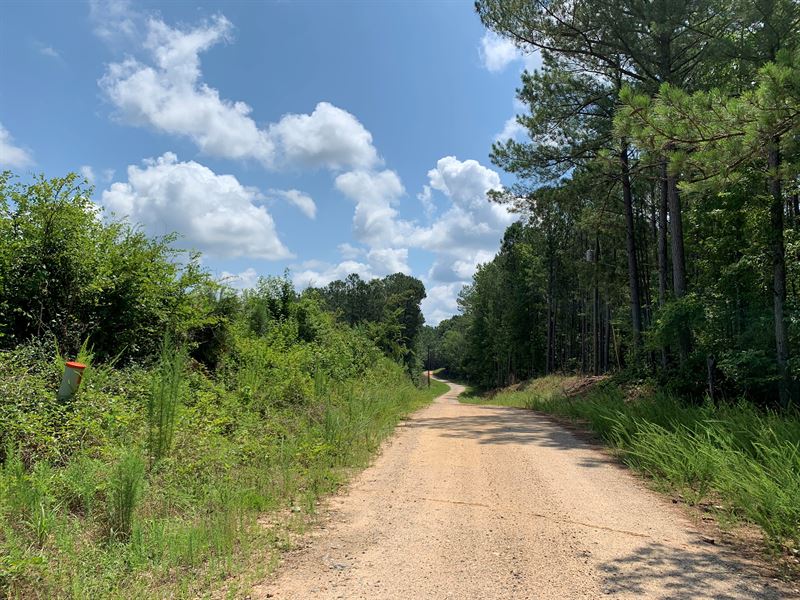 Hunt Tract : Crawfordville : Taliaferro County : Georgia