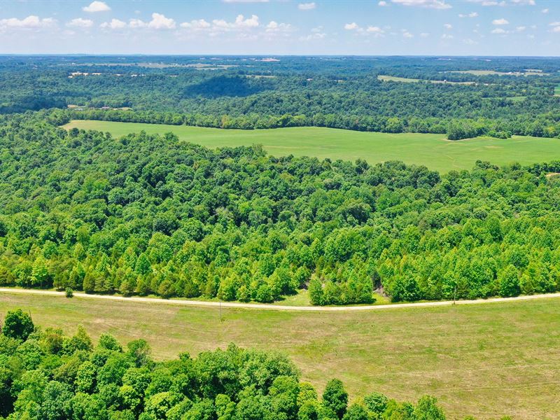 Wooded and Breathtaking Landscapes, Farm for Sale by Owner in Kentucky
