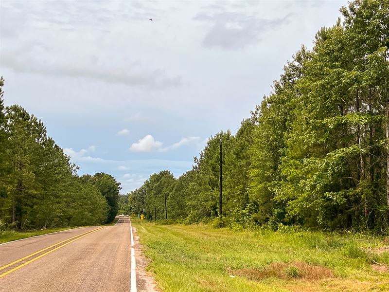 29 Acres, T-2 FM 1012 : Jamestown : Newton County : Texas