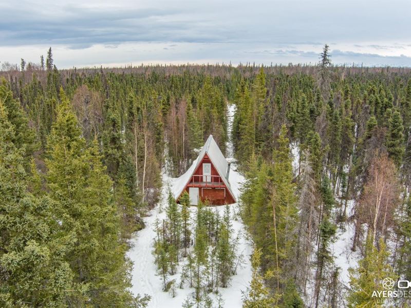 Extra Large Remote Parcel, Great : Nikiski : Kenai Peninsula Borough : Alaska