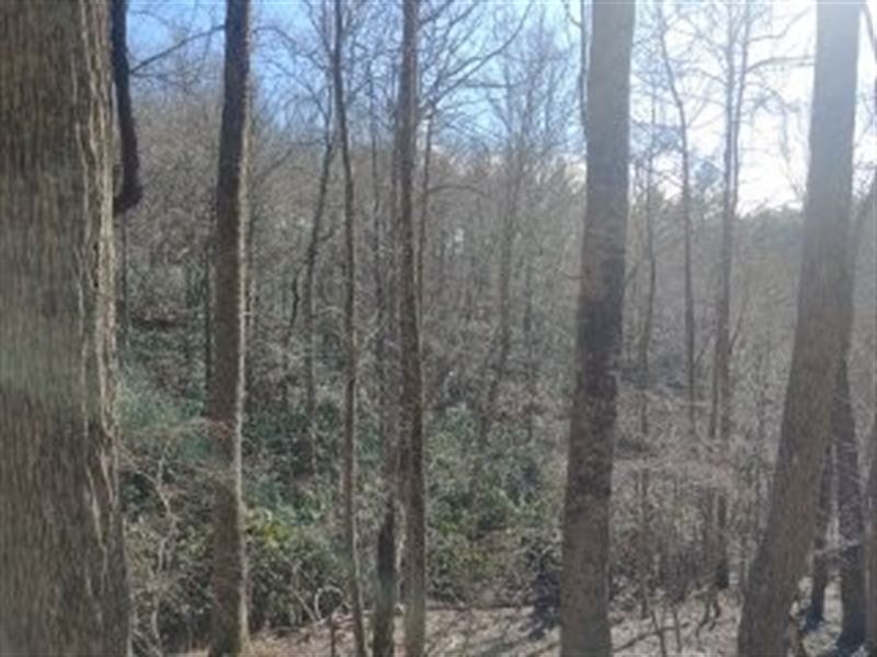 Secluded Land for Sale in VA : Floyd : Floyd County : Virginia