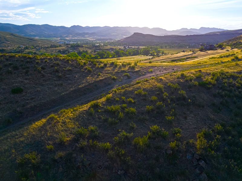 Rocks and Pines at Mile High Ranch : Laporte : Larimer County : Colorado