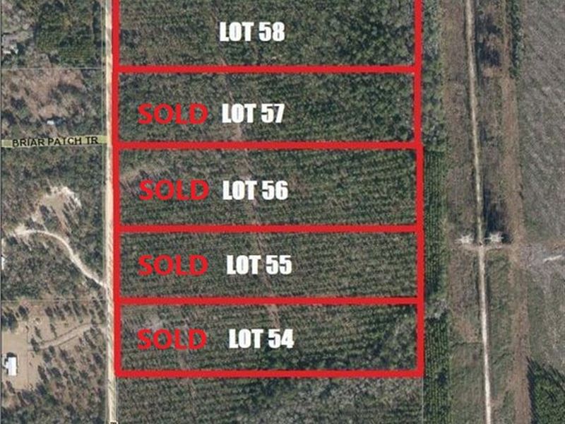 Lot 58, Franklin Rd, Hilliard : Hilliard : Nassau County : Florida