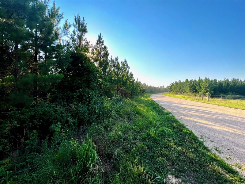 Horse Pond Tract 1, Farm for Sale in Tennessee, 327056 FARMFLIP